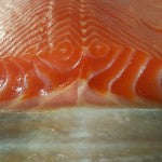 Load image into Gallery viewer, Cold Smoked Ocean Trout - 500g
