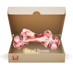 Box of Bones