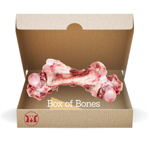 Box of Bones